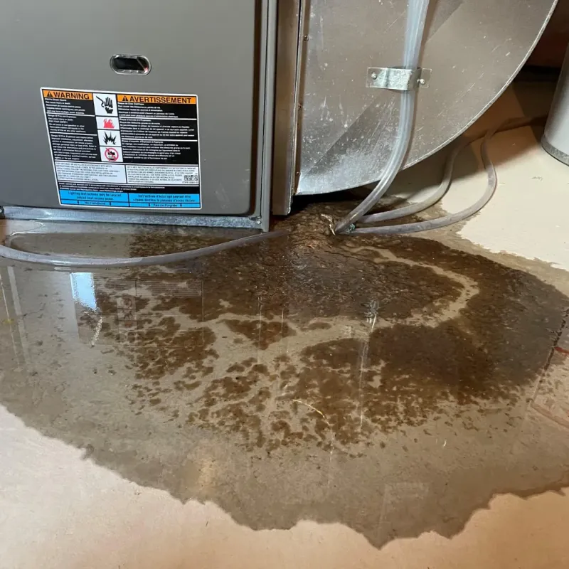 Appliance Leak Cleanup in Wheatland, WY