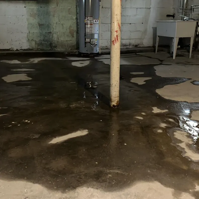 Emergency Water Extraction And Removal in Wheatland, WY